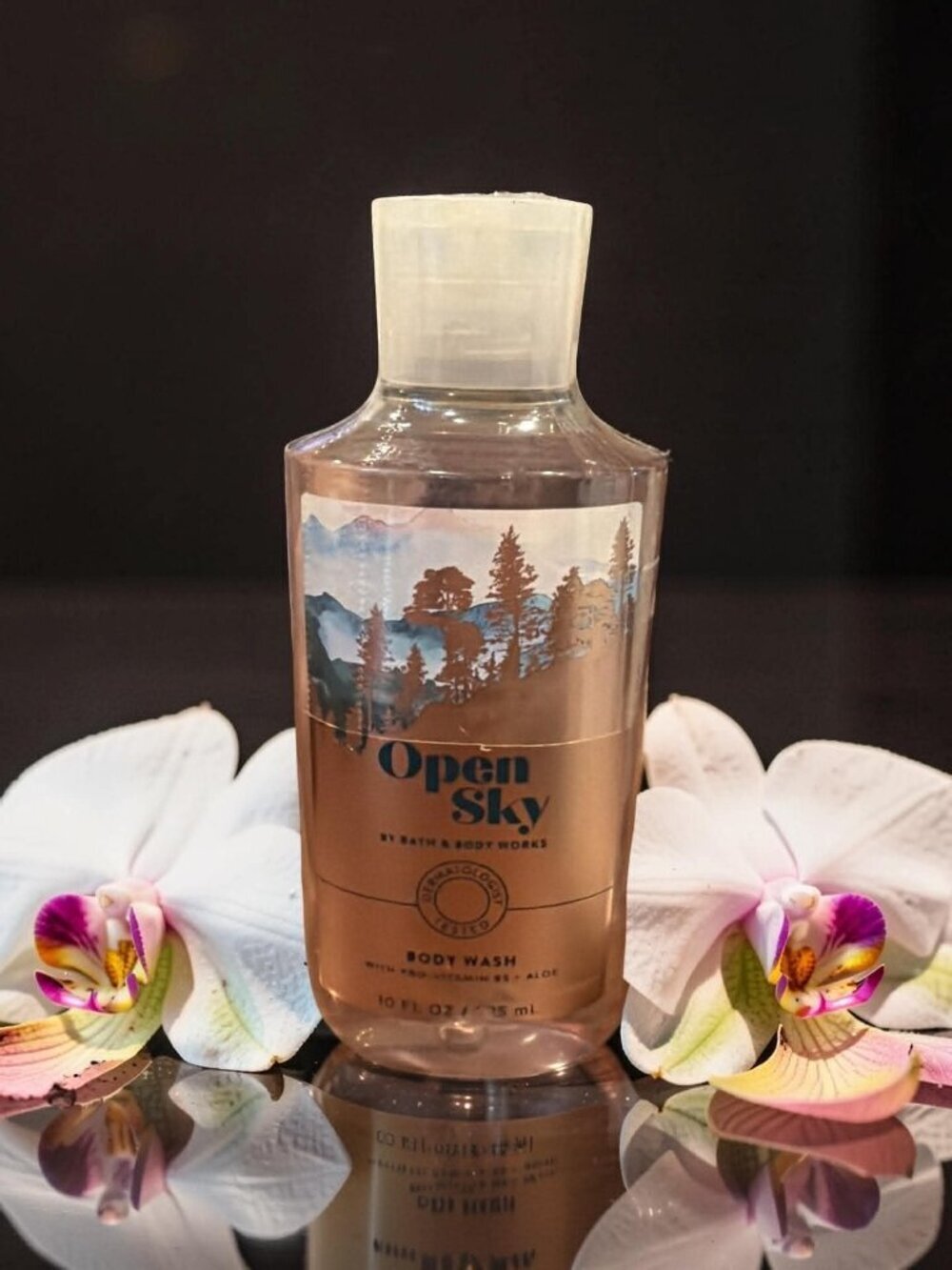 Bath& Body Work Open Sky Body Wash 10 oz